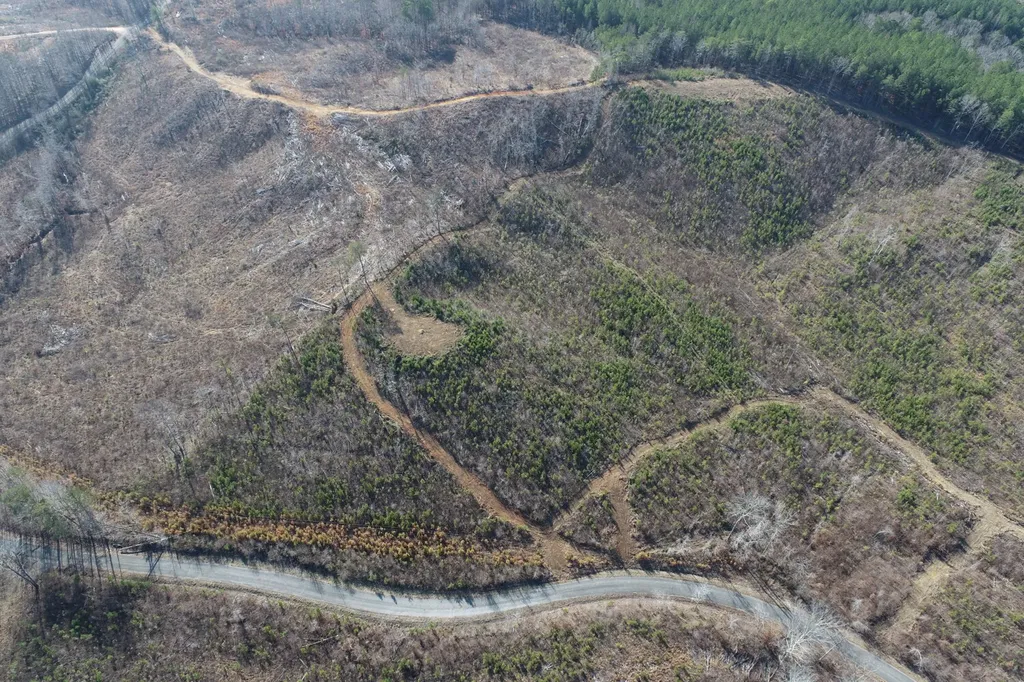 0 Frozen Hollow Road Carbon Hill AL 35549