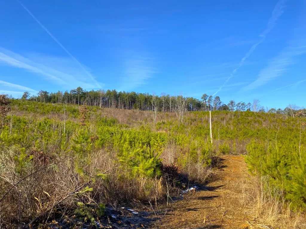 0 Frozen Hollow Road Carbon Hill AL 35549