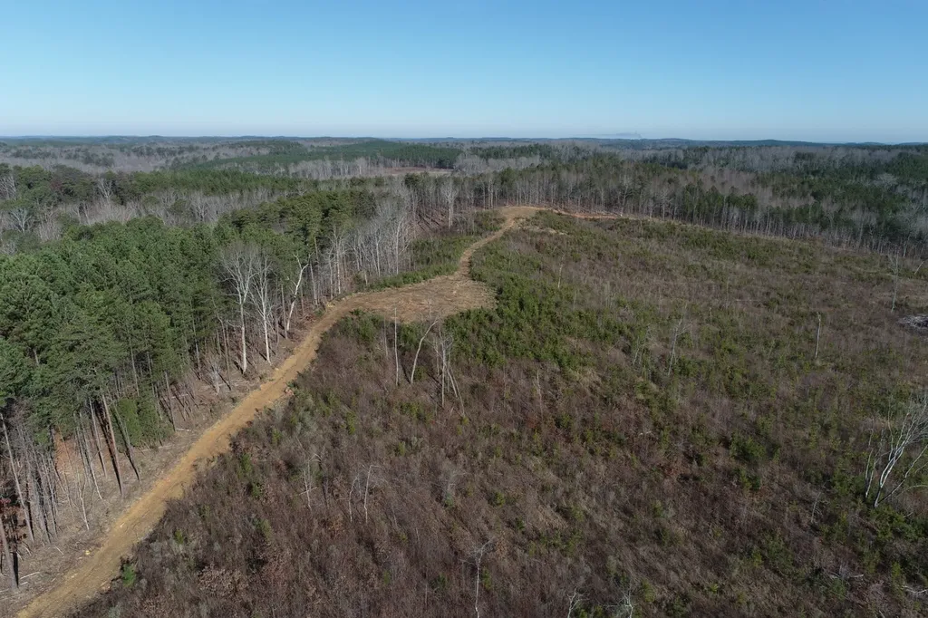 0 Frozen Hollow Road Carbon Hill AL 35549