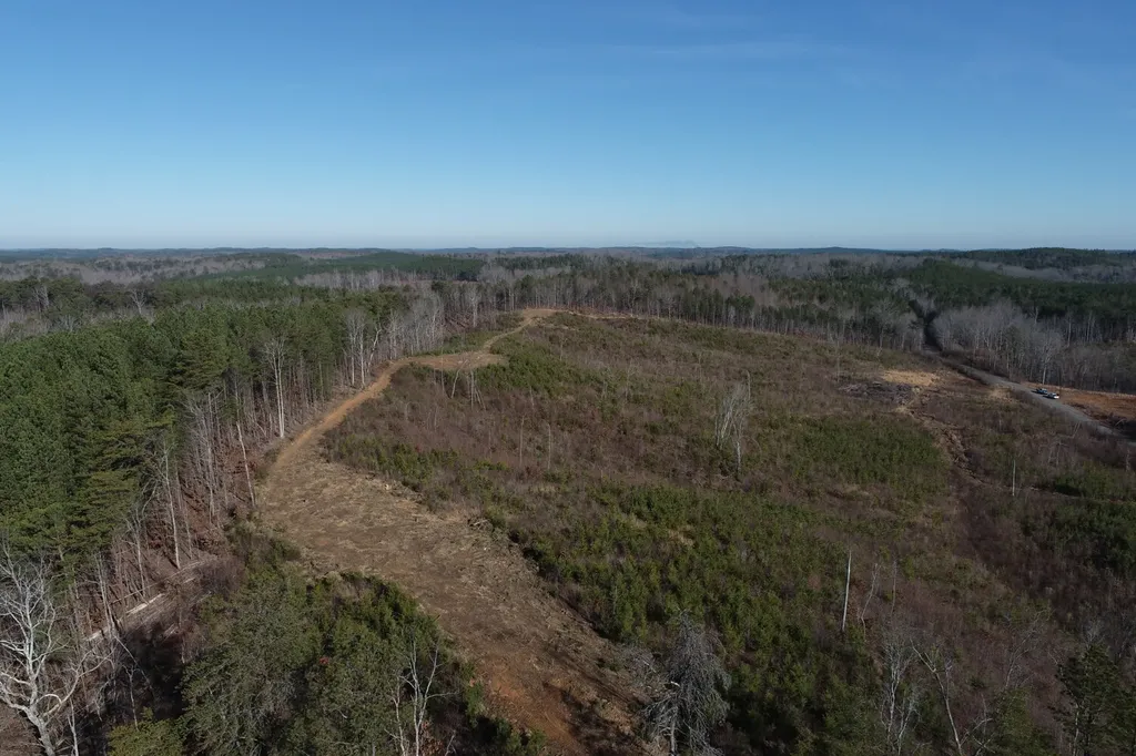 0 Frozen Hollow Road Carbon Hill AL 35549