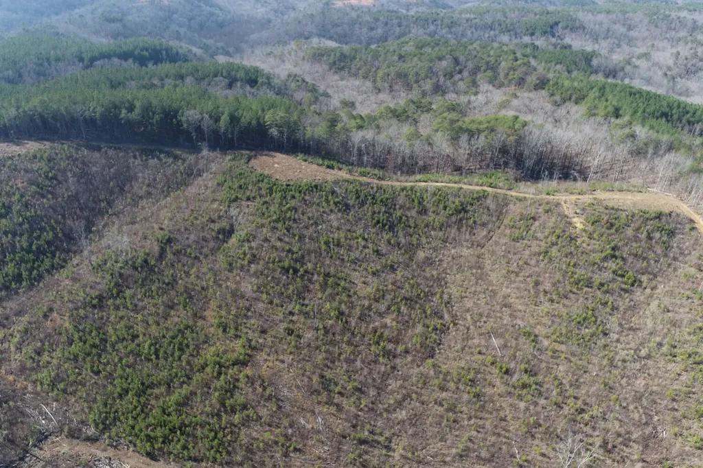 0 Frozen Hollow Road Carbon Hill AL 35549