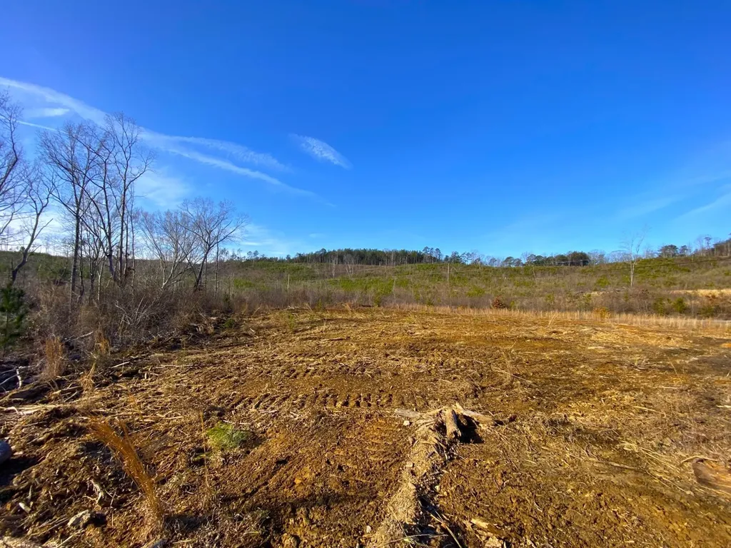 0 Frozen Hollow Road Carbon Hill AL 35549