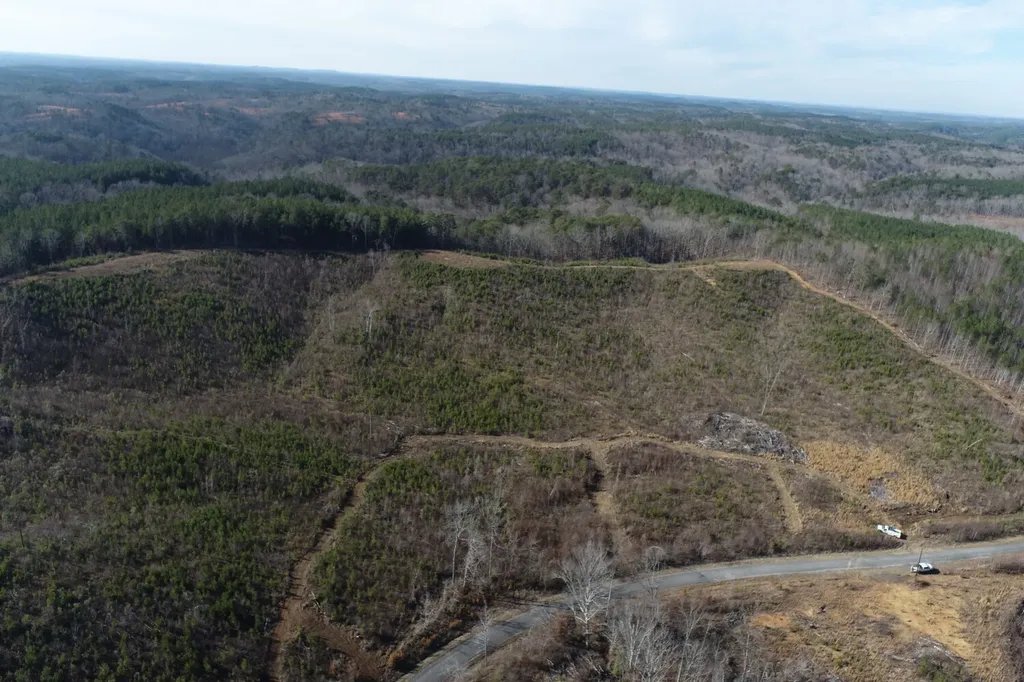 0 Frozen Hollow Road Carbon Hill AL 35549