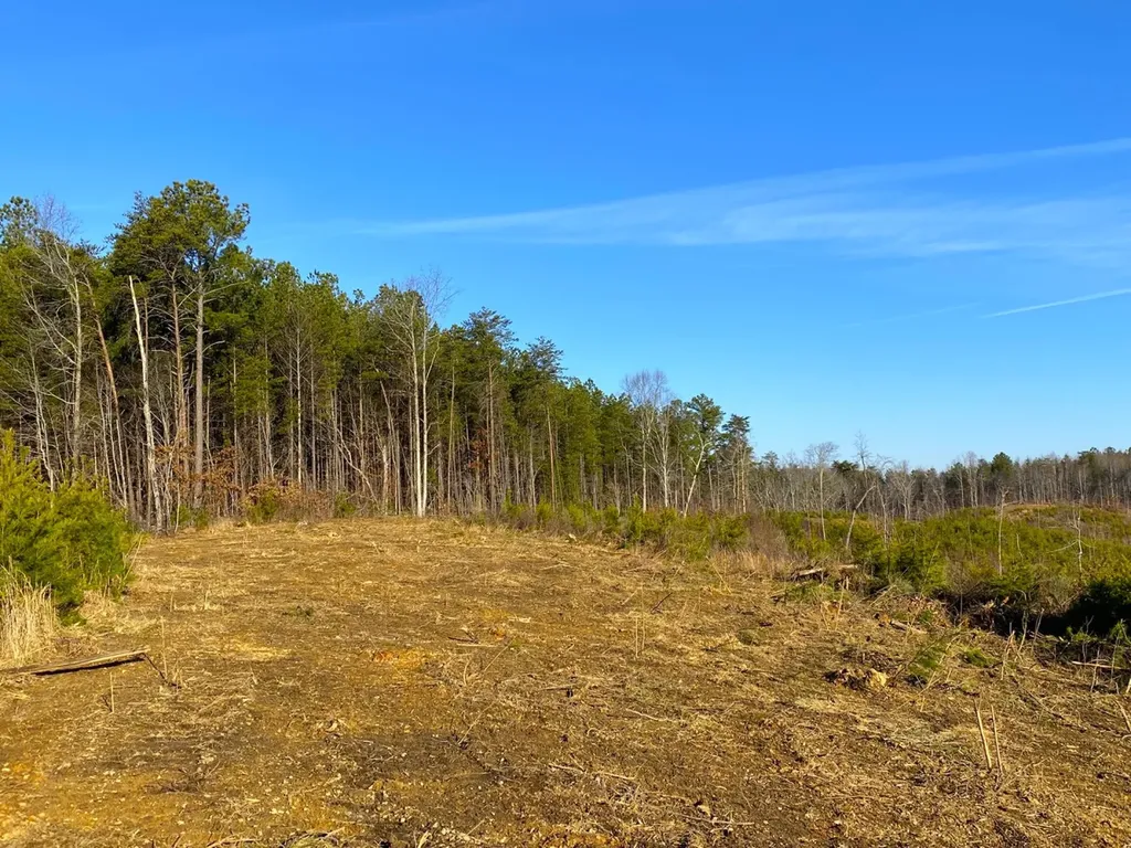 0 Frozen Hollow Road Carbon Hill AL 35549