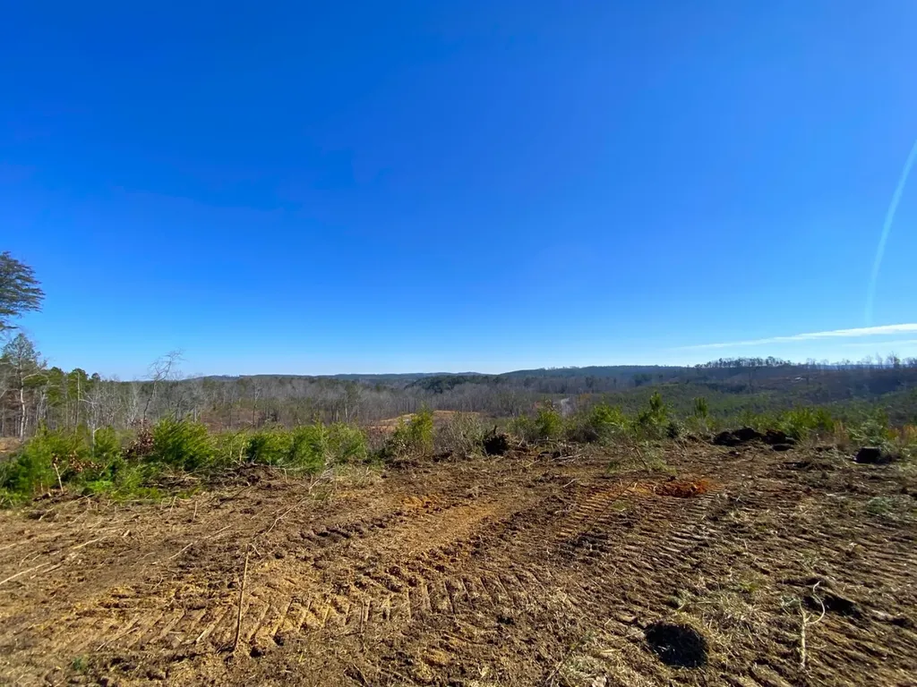 0 Frozen Hollow Road Carbon Hill AL 35549