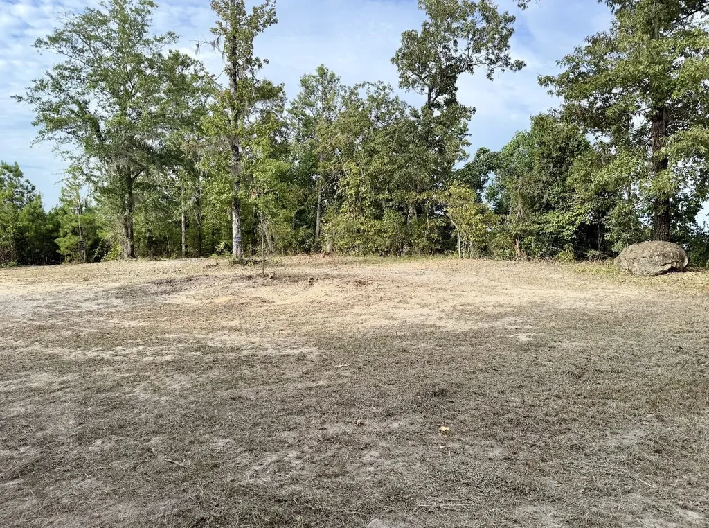 0 County Road 35 E Lower Peach Tree AL 36751