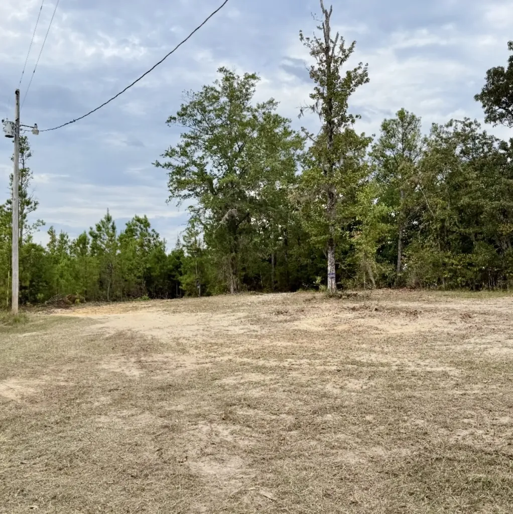 0 County Road 35 E Lower Peach Tree AL 36751