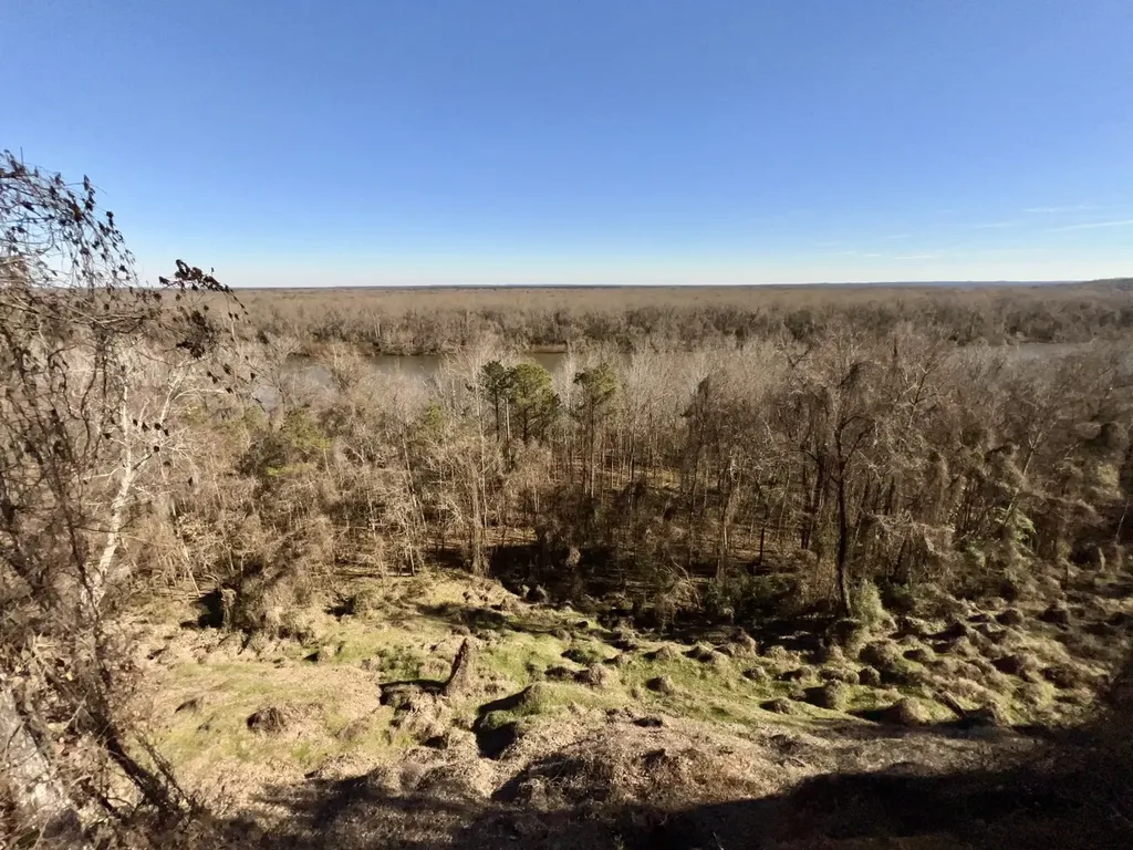 0 County Road 35 E Lower Peach Tree AL 36751