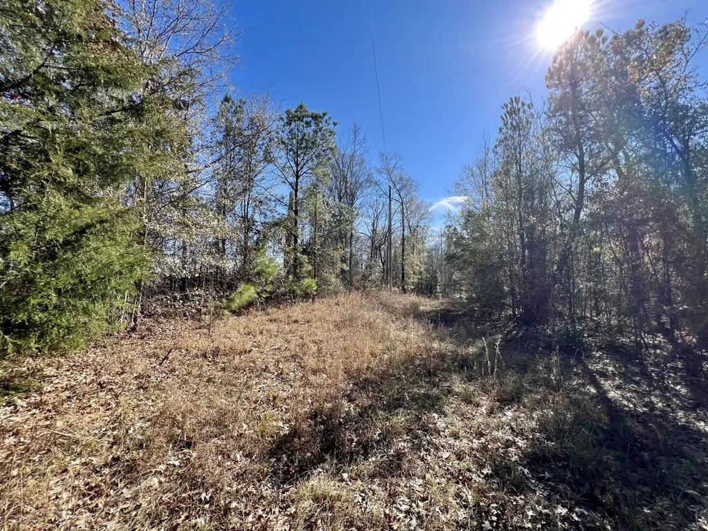 0 County Road 35 E Lower Peach Tree AL 36751