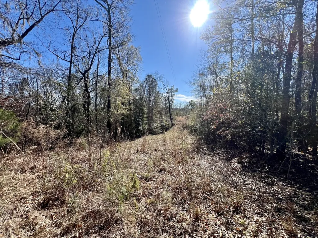 0 County Road 35 E Lower Peach Tree AL 36751