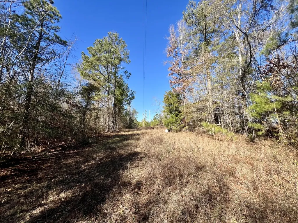 0 County Road 35 E Lower Peach Tree AL 36751