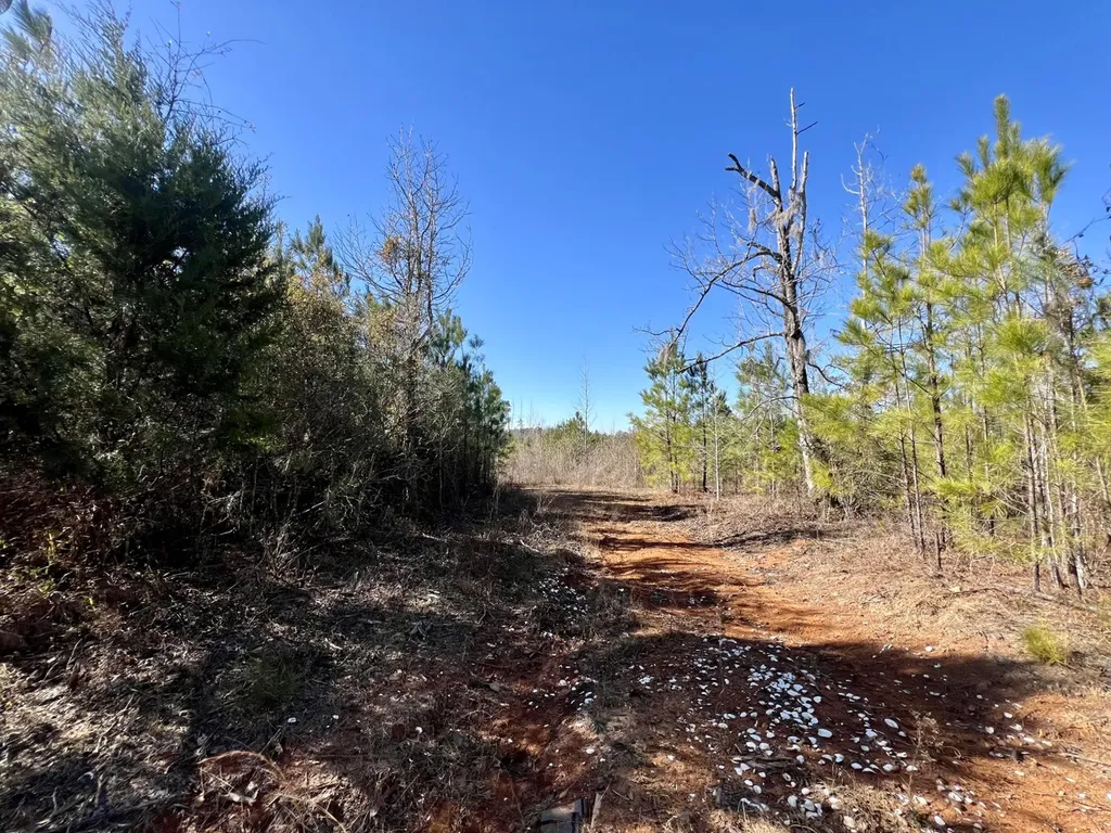 0 County Road 35 E Lower Peach Tree AL 36751