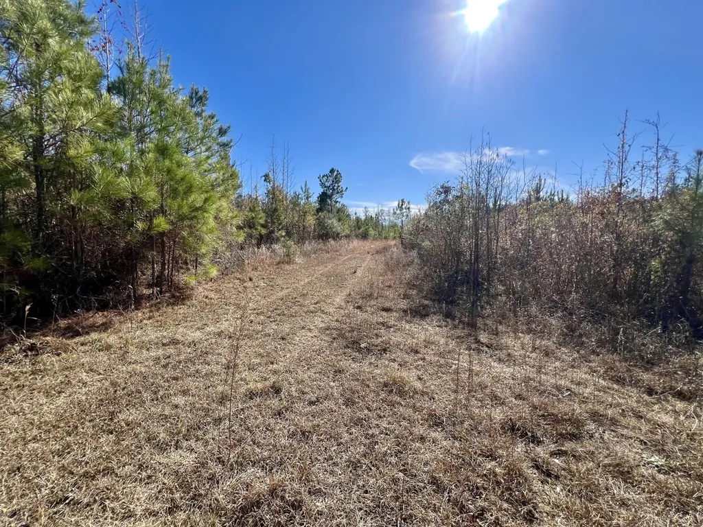 0 County Road 35 E Lower Peach Tree AL 36751