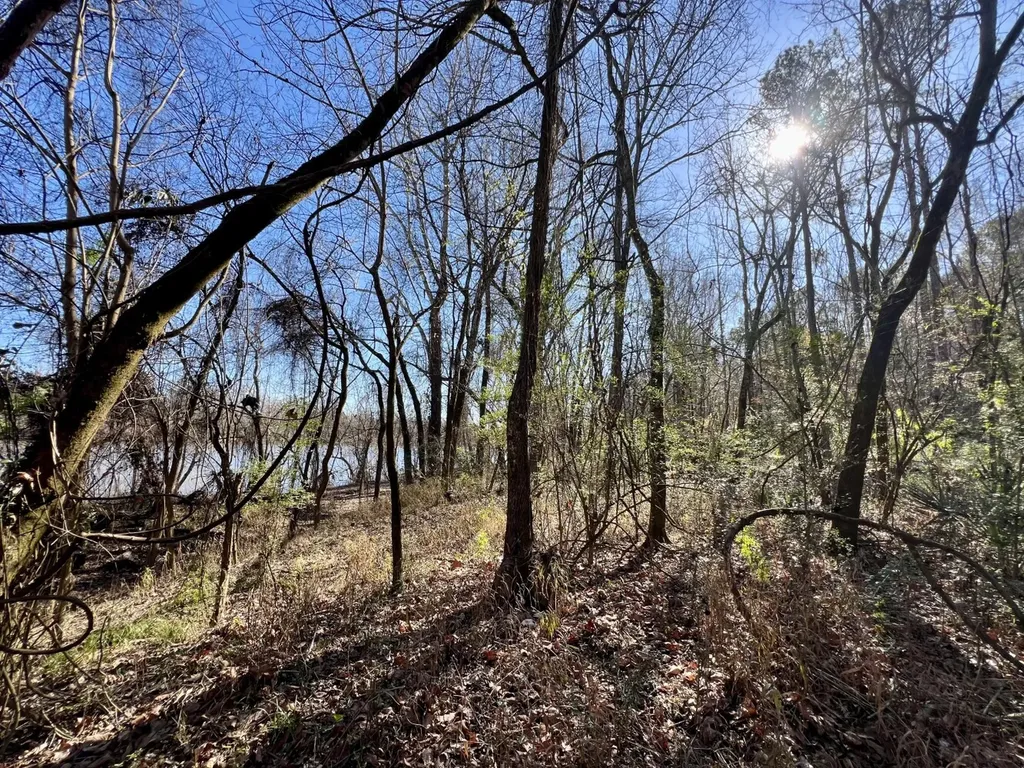 0 County Road 35 E Lower Peach Tree AL 36751