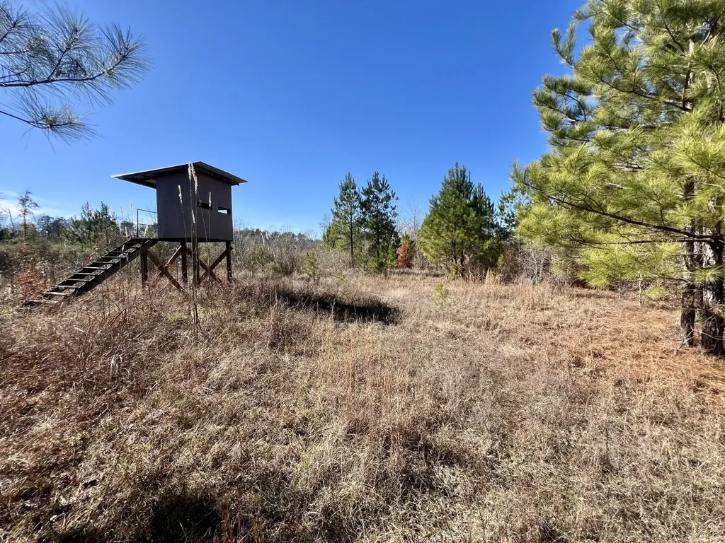 0 County Road 35 E Lower Peach Tree AL 36751