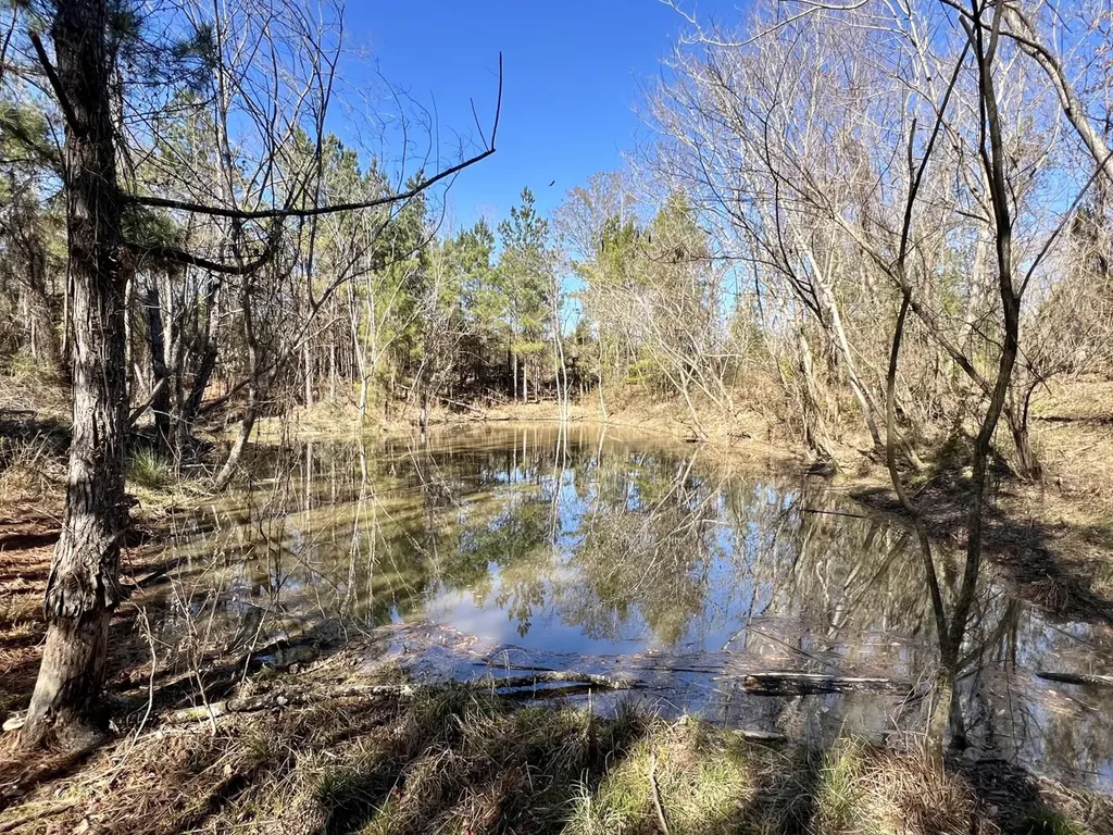 0 County Road 35 E Lower Peach Tree AL 36751