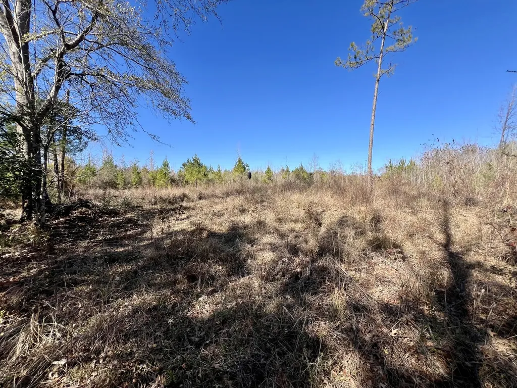 0 County Road 35 E Lower Peach Tree AL 36751