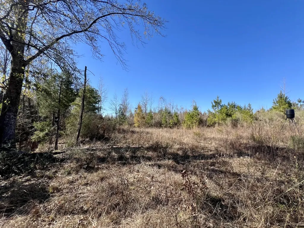 0 County Road 35 E Lower Peach Tree AL 36751