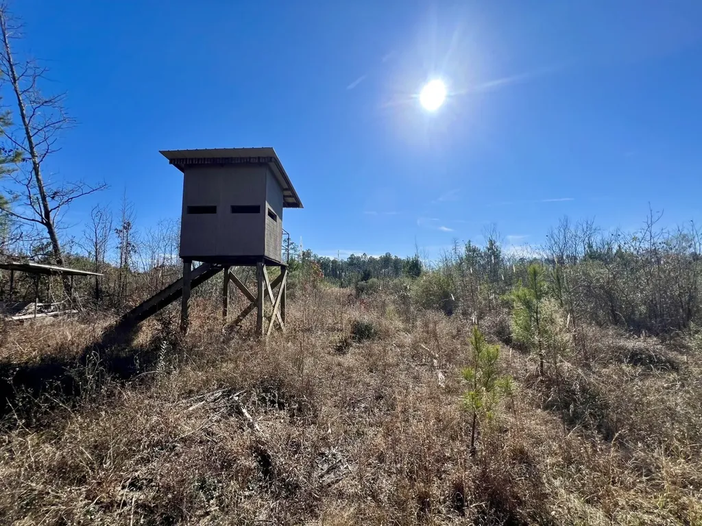 0 County Road 35 E Lower Peach Tree AL 36751