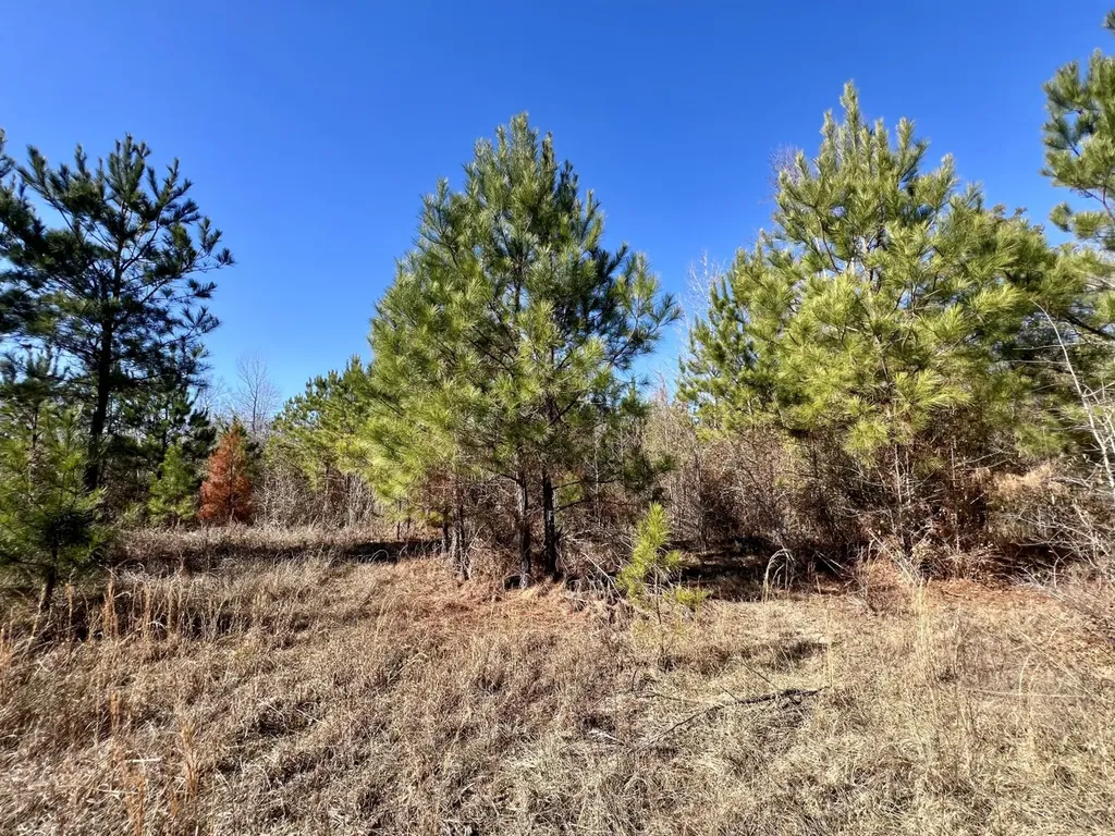 0 County Road 35 E Lower Peach Tree AL 36751