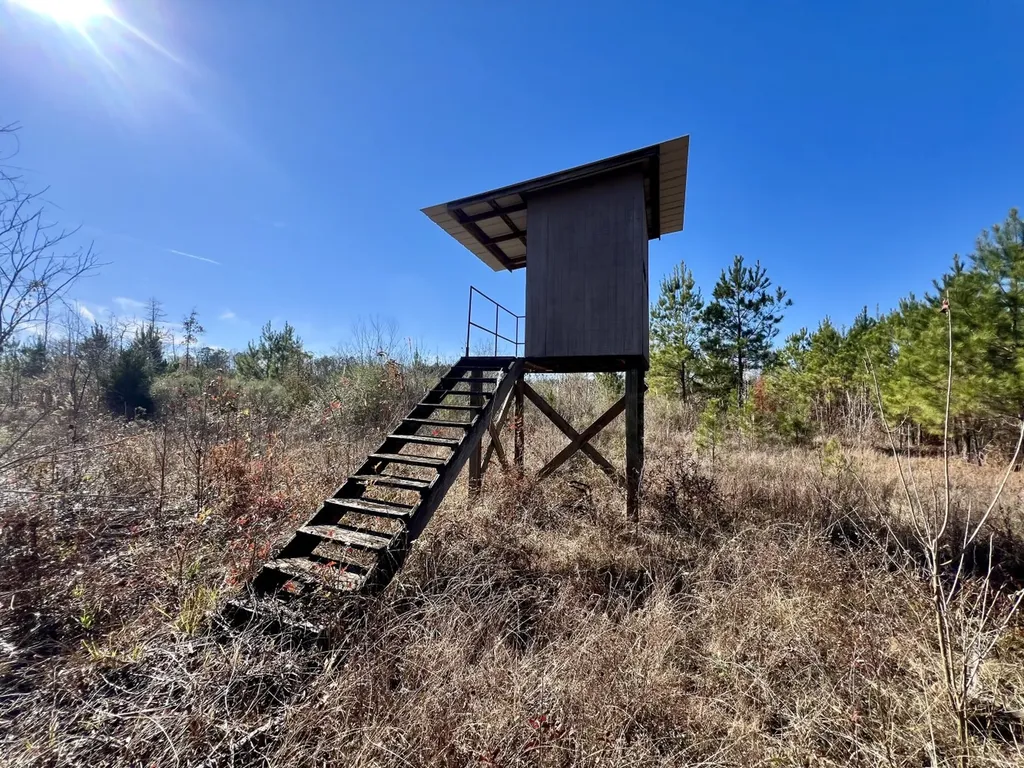 0 County Road 35 E Lower Peach Tree AL 36751