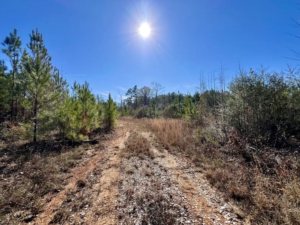 0 County Road 35 E Lower Peach Tree AL 36751