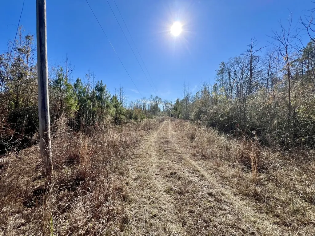 0 County Road 35 E Lower Peach Tree AL 36751