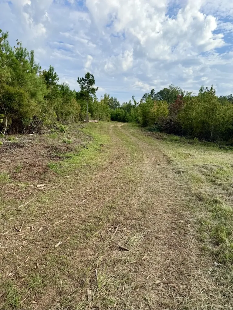 0 County Road 35 E Lower Peach Tree AL 36751