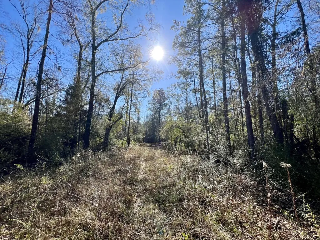 0 County Road 35 E Lower Peach Tree AL 36751