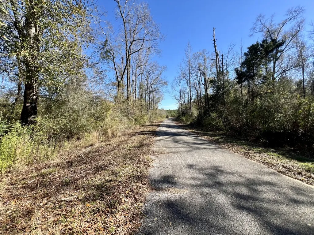 0 County Road 35 E Lower Peach Tree AL 36751