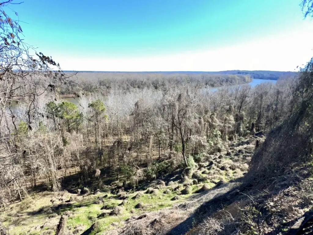 0 County Road 35 E Lower Peach Tree AL 36751