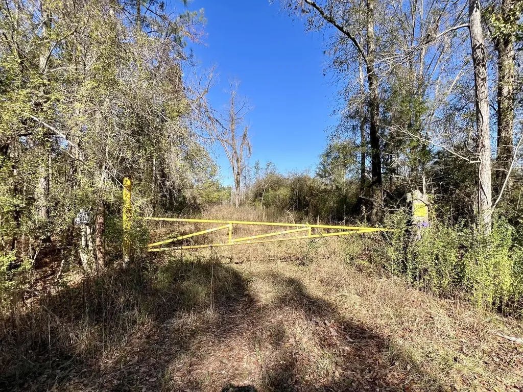 0 County Road 35 E Lower Peach Tree AL 36751