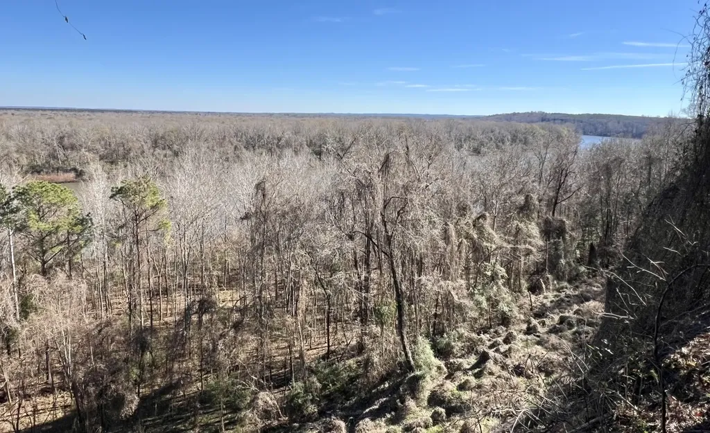 0 County Road 35 E Lower Peach Tree AL 36751