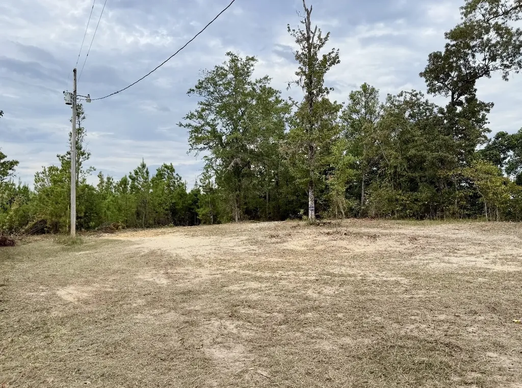 0 County Road 35 E Lower Peach Tree AL 36751