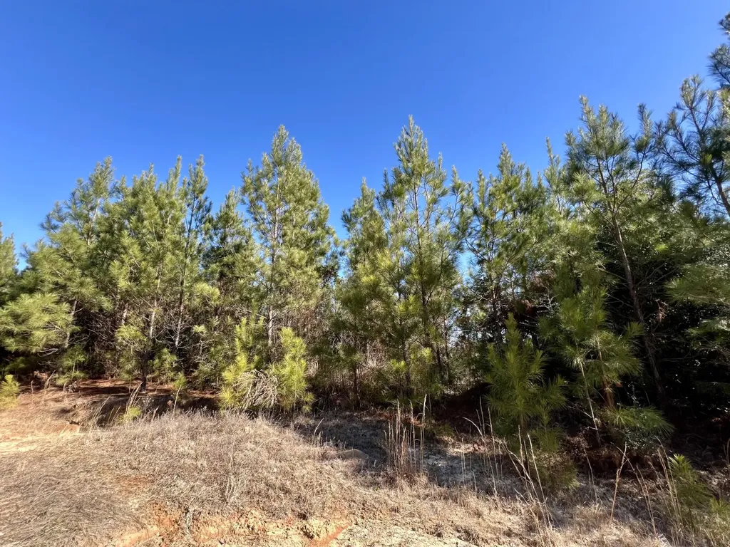 0 Ararat Road Toxey AL 36921