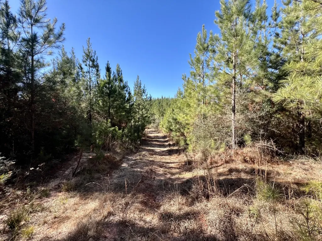 0 Ararat Road Toxey AL 36921