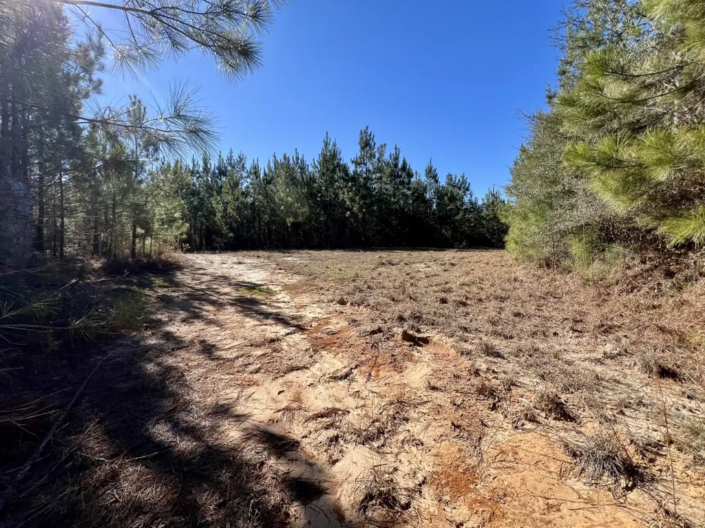 0 Ararat Road Toxey AL 36921