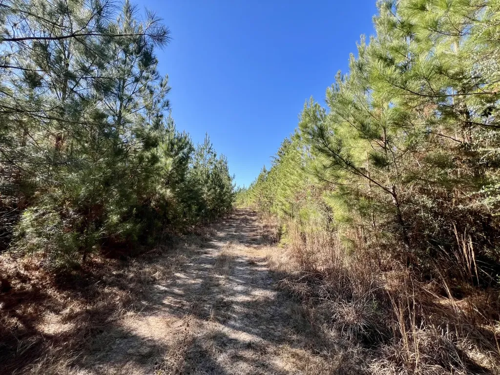 0 Ararat Road Toxey AL 36921