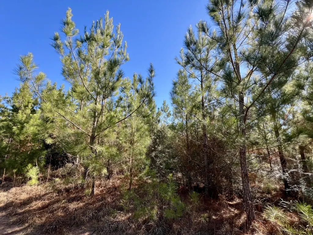 0 Ararat Road Toxey AL 36921