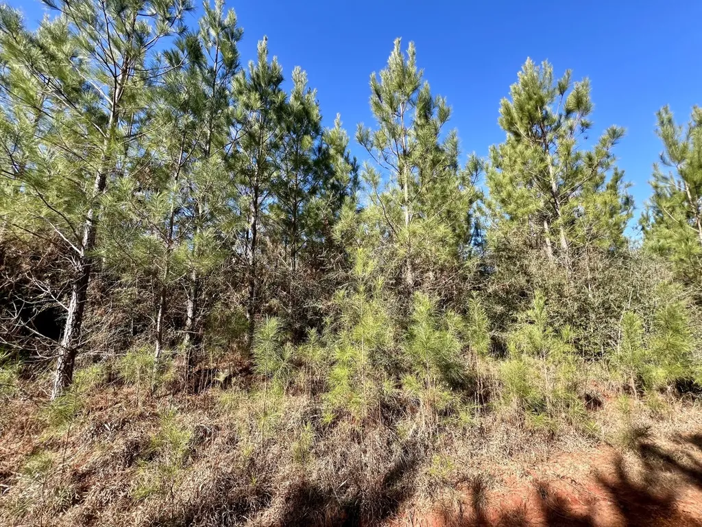 0 Ararat Road Toxey AL 36921