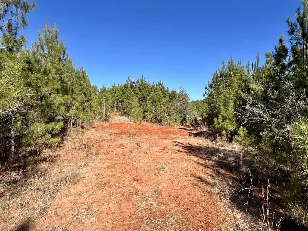 0 Ararat Road Toxey AL 36921