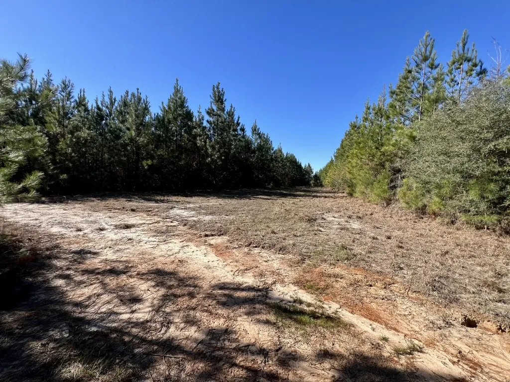 0 Ararat Road Toxey AL 36921