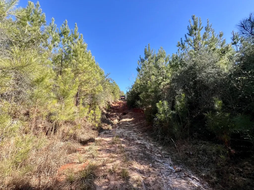 0 Ararat Road Toxey AL 36921