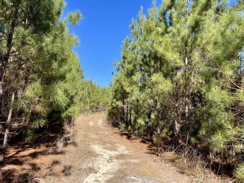 0 Ararat Road Toxey AL 36921