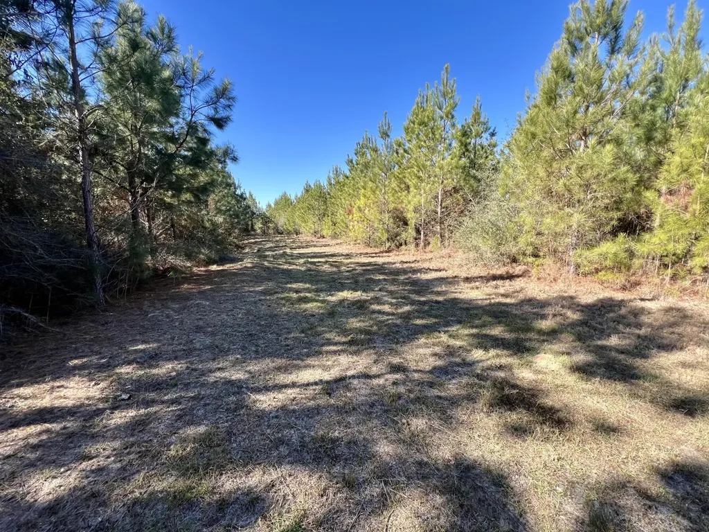 0 Ararat Road Toxey AL 36921