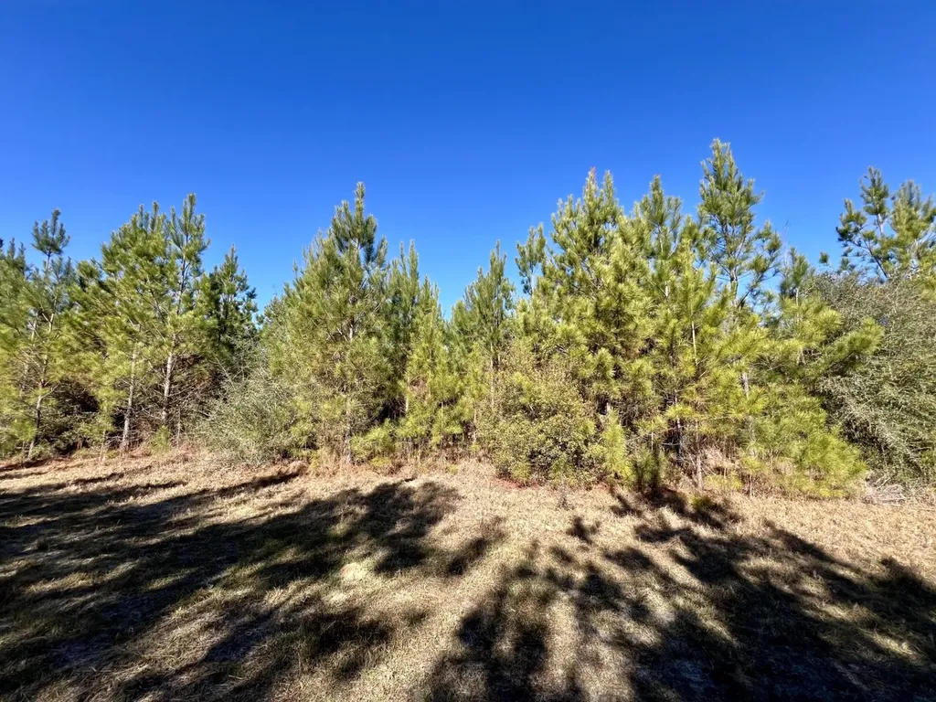 0 Ararat Road Toxey AL 36921