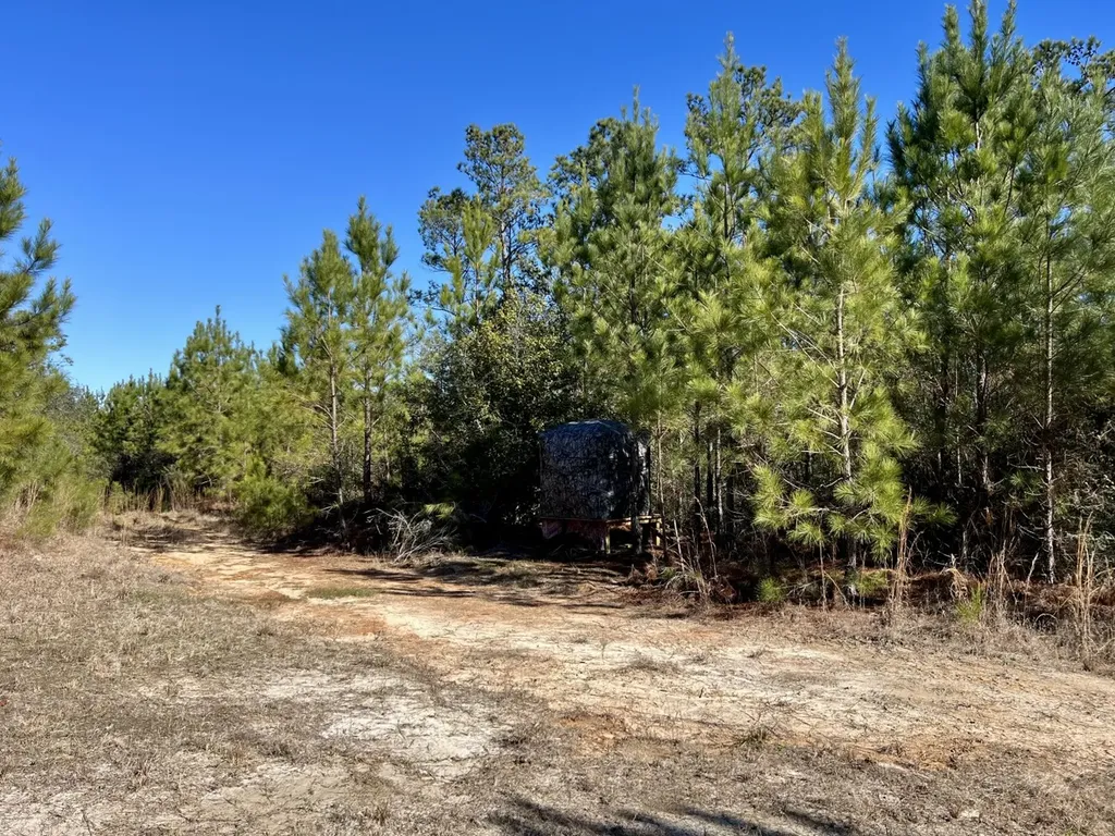 0 Ararat Road Toxey AL 36921