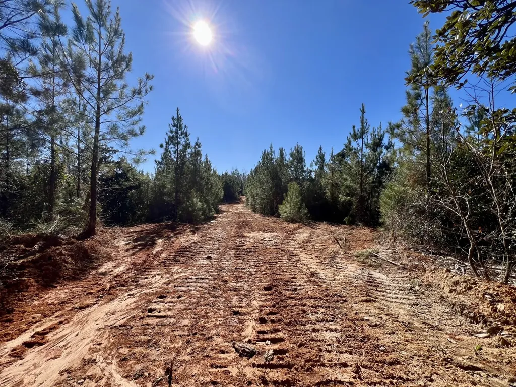 0 Ararat Road Toxey AL 36921