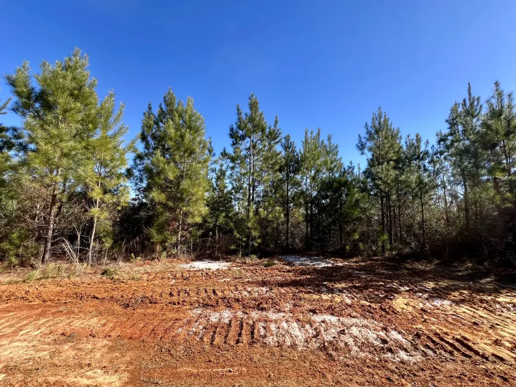 0 Ararat Road Toxey AL 36921