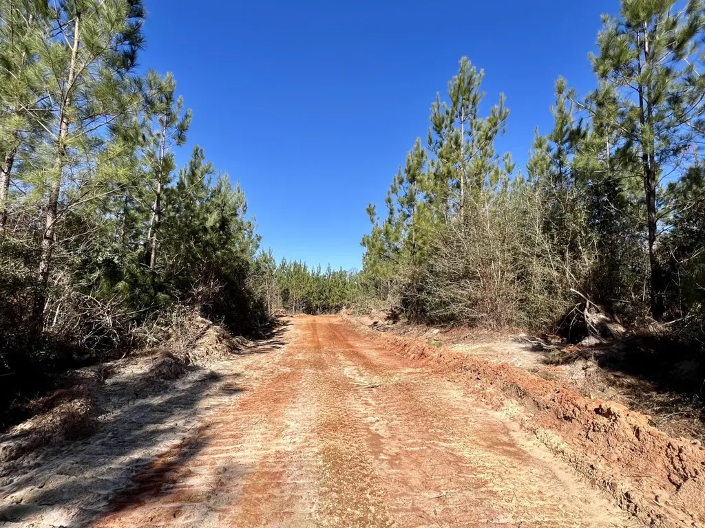 0 Ararat Road Toxey AL 36921